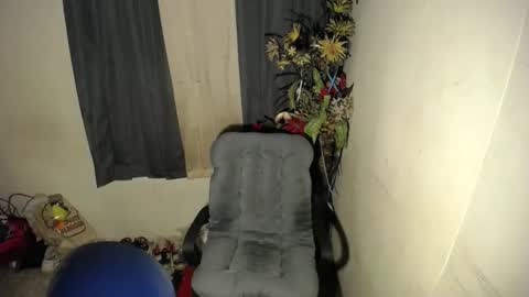 angela_kenxx online show from November 2, 3:10 pm