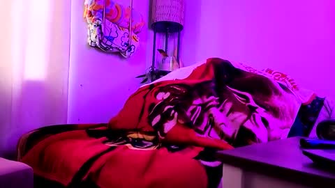 Belle online show from December 22, 8:47 pm