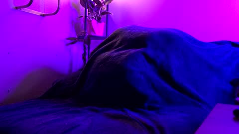 Belle online show from February 23, 7:44 am