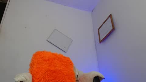 Dayan Camila online show from December 3, 4:42 am