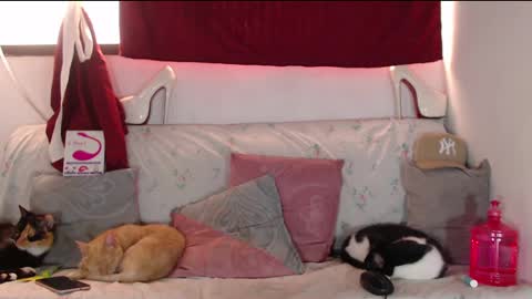 cicimom online show from December 19, 2:57 pm