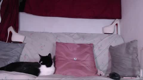 cicimom online show from January 24, 3:32 am