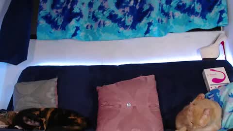 cicimom online show from February 13, 5:24 am