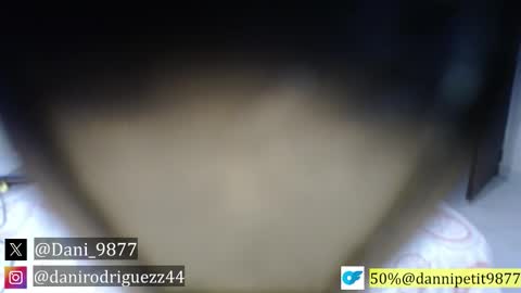 Dani doll online show from November 26, 7:00 am