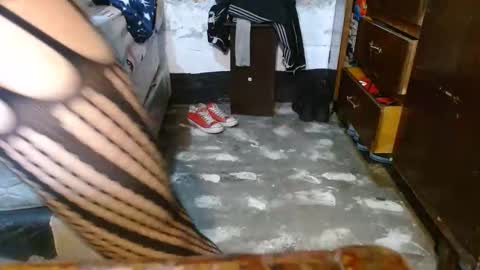 dreamreal online show from February 5, 11:37 am