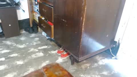 dreamreal online show from February 8, 12:11 pm