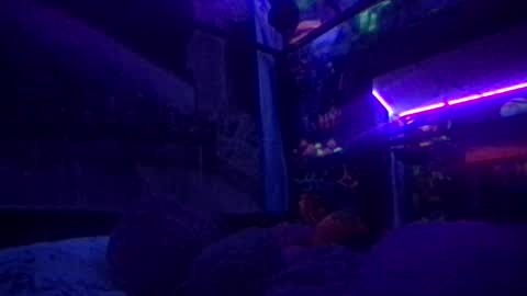 Snapshot of fairy_moan chatting on December 6, 11:50 am fairy_moan online show from December 6, 11:50 am