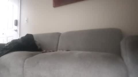femboy679656 online show from July 17, 9:59 am