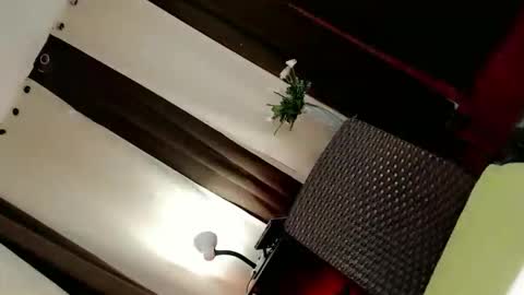 Snapshot of femboy_veronica chatting on October 14, 12:17 pm femboy_veronica online show from October 14, 12:17 pm