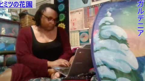 Gardenia online show from March 7, 7:11 am