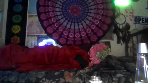 Gardenia online show from February 4, 7:35 am