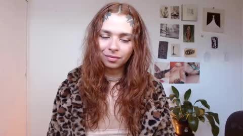 Alaska online show from December 2, 1:14 pm