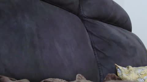 BigFTMdick online show from December 6, 11:52 pm