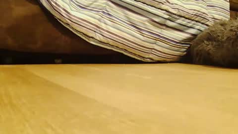 BigFTMdick online show from December 26, 2:12 am