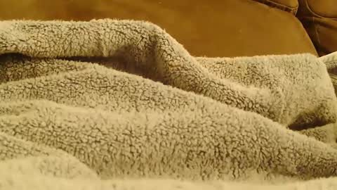 BigFTMdick online show from January 22, 7:35 am