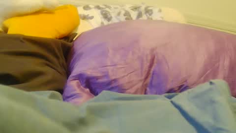 BigFTMdick online show from November 23, 7:49 pm