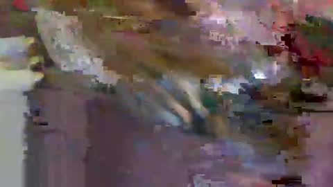 iwantthenutt online show from March 25, 2:50 am