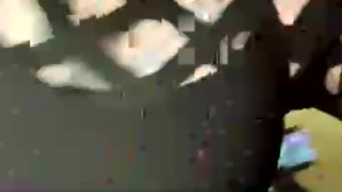 jadedrose88 online show from August 2, 2:49 pm
