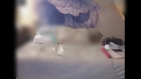 Jennie bttmcd online show from September 28, 8:35 am