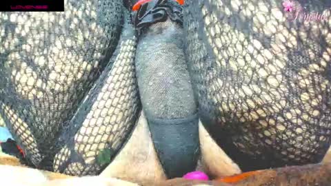 Snapshot of krystarxxx chatting on September 25, 7:43 pm kryxtal online show from September 25, 7:43 pm