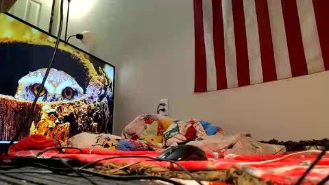 lawerenceingram46 online show from October 29, 7:23 pm