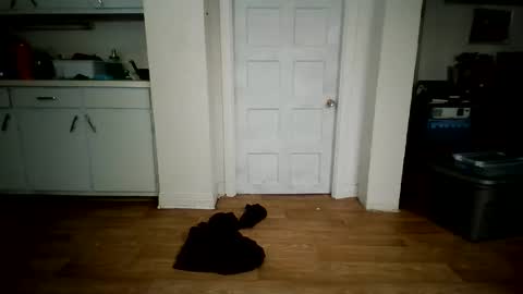 lildargsub online show from September 24, 4:07 am