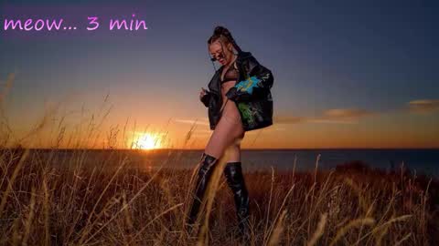 Meeeow  opening hours are from 2200 in New York online show from October 27, 12:51 am