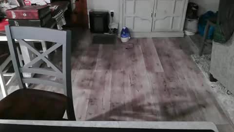 Snapshot of meganfitzy chatting on February 26, 12:27 am GlamTransGoddess online show from February 26, 12:27 am