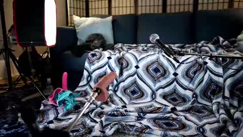 Melody Lane online show from November 26, 11:29 pm