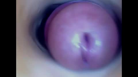 Paula 18 Aninhos online show from April 8, 6:04 am