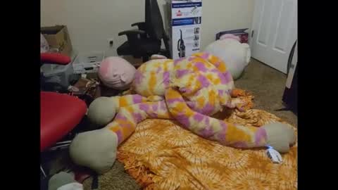 puppygirllovestobeg online show from April 11, 7:45 am