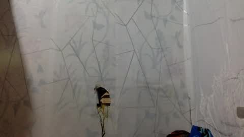 miss jade so online show from April 15, 11:48 am