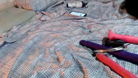 Miley online show from January 13, 2:07 am