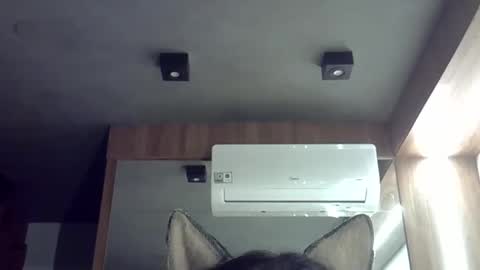 skinnykittencam online show from October 21, 12:14 am