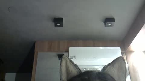skinnykittencam online show from November 1, 3:48 am