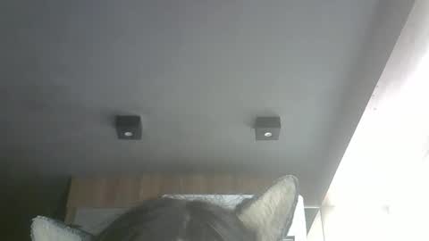 skinnykittencam online show from February 26, 10:20 am