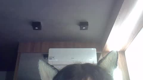 skinnykittencam online show from March 31, 12:40 pm