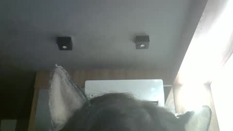 skinnykittencam online show from April 9, 1:18 am