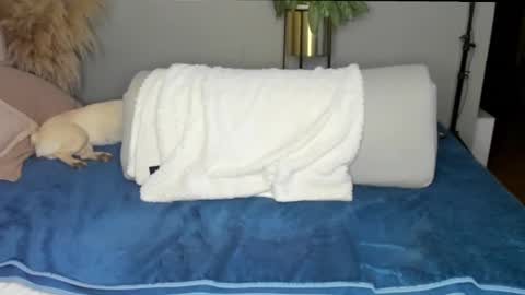 Snapshot of sofia_rivers_ chatting on February 26, 11:04 pm sofia_rivers_ online show from February 26, 11:04 pm