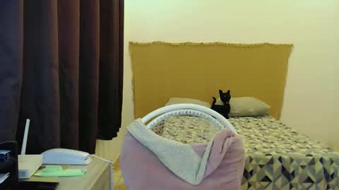 Sophie Fantasys online show from January 17, 9:00 pm