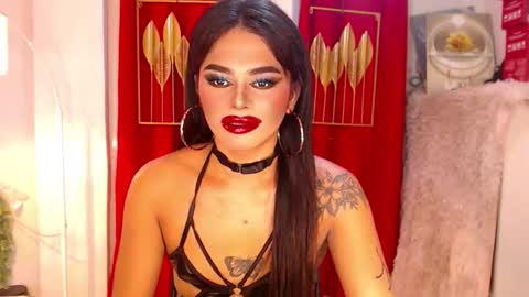 tashaa online show from November 26, 6:38 am