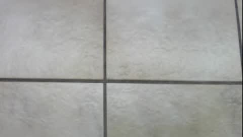 teninchheels online show from December 22, 1:00 pm