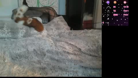 thatgingerfemboy online show from June 9, 11:04 pm