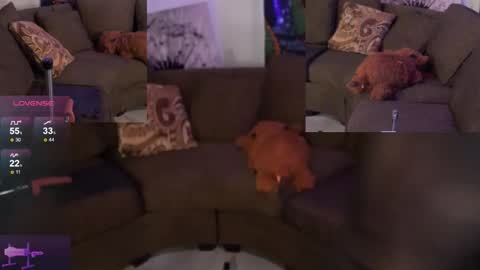 V3mo online show from December 19, 12:16 am