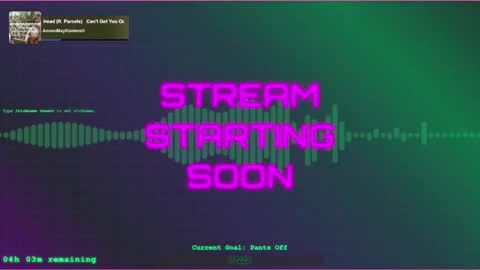 vannivr online show from January 26, 2:56 am