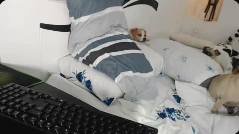 YINAROSS online show from December 3, 9:52 pm