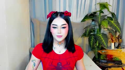 kim online show from February 3, 9:25 am