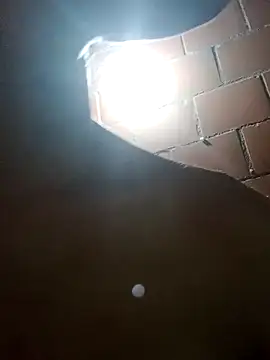 Nadia Monroe online show from November 26, 2:52 pm