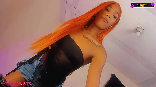 turabbitxx online show from November 7, 8:03 am