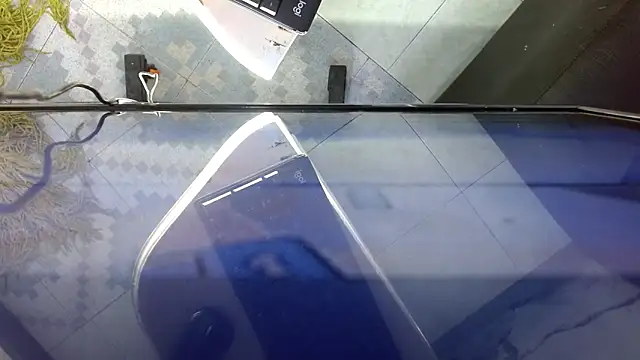 CamelyHott online show from February 12, 2:29 am